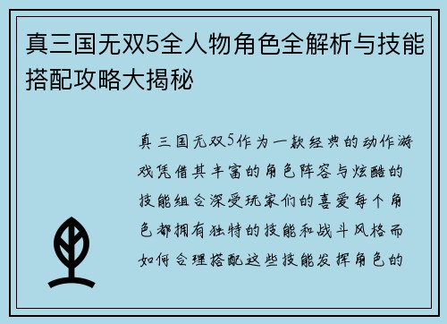 真三国无双5全人物角色全解析与技能搭配攻略大揭秘